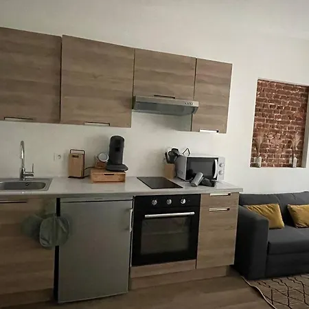 Apartman -l'atelier - Vieux - T3 -vida Loc Lille